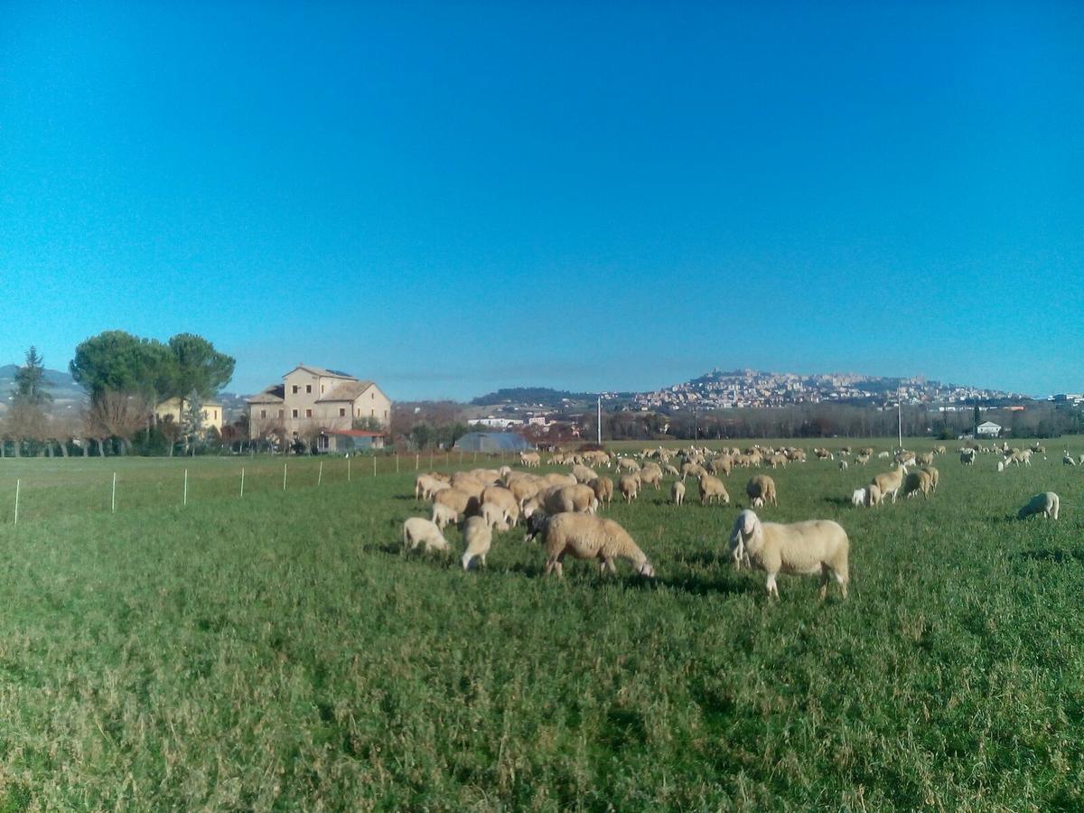 Alla Bigattiera Osimo Exterior photo